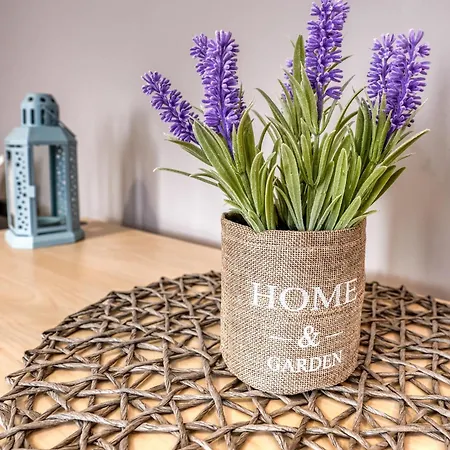 Lily's 4 By Bulgarentals - Apartment *